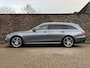 Mercedes-Benz E-klasse 200 BUSINESS Solution Automaat 19 Inch Trekhaak