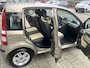 Fiat Panda 1.2 Edizione Automaat