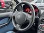 Fiat Panda 1.2 Emotion NIEUWE APK 29-11-2026