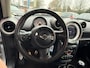 MINI Countryman Mini 1.6 Cooper S ALL4 Chili H/Kardon Leder Navi Xenon