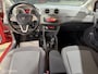 SEAT Ibiza 1.4-16V 25 Edition I Airco/Cruise/Nap/Apk/1eEIG