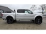 Ford F-150 Platinum 4x4 Pickup Crew Cab LPG Airco Cruise