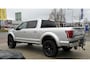 Ford F-150 Platinum 4x4 Pickup Crew Cab LPG Airco Cruise