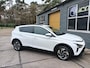 Hyundai Bayon 1.0 T-GDI 48V AUT. Premium Stoelver./carplay/camera