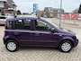 Fiat Panda 1.2 Edizione Cool