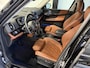 MINI Countryman 2.0 Cooper SE ALL4 Leder/Camera/Apple