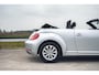 Volkswagen Beetle Cabriolet 1.2 TSI | LM VELGEN | STOELVERWARMING | ALL SEASON BANDEN