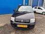 Fiat Panda 1.2 Edizione Cool