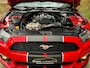 Ford Mustang Convertible 2.3 EcoBoost | 1e eig. | Europees | Clima | Cruise | Navi | Stoelventilatie | Leder | PDC met camera |