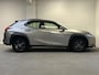 Lexus UX 250h Business Line | STOEL/STUUR V.W. | CAMERA |  CARPLAY | DEALERONDERHOUDEN |