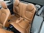 MINI Cooper Cabrio 1.5 Chili Serious Business | ORG.NL | LEDER | DEALERONDERHOUDEN |