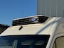 Mercedes-Benz Sprinter 317 170pk  L2 H2 Koelwagen - koelen/vriezen -20 graden - camera