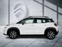Citroën C3 Aircross 130 PK Automaat Business | Rijklaar | Stoelverwarming | Lichtmetaal | Apple Carplay |