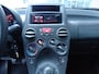 Fiat Panda 1.2 Edizione Cool *TREKHAAK* *NETTE AUTO*