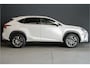 Lexus NX 300h AWD Luxury Line |groot scherm|dealer onderhouden|schuifdak|leder|Apple/Android|