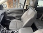Ford Kuga 1.5 Titanium Styling Pack panoramadak, navi, cruise elec pakket 4wd trekhaak multi-stuur, pdc, nwe apk * rijklaarprijs *