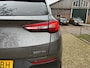 Opel Grandland X 1.2 Turbo Business Executive | Navi + Cruise + Clima + Trekhaak Nu € 11.975,-!!!