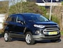 Ford EcoSport 1.0 EcoBoost 125pk Titanium | trekhaak | stoelverwarming | verwarmde voorruit