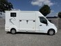 Renault Master PAARDENWAGEN BARBOT 2019 | HENGST | 3 ZITS | LEER | B-RIJBEWIJS | NL KENTEKEN