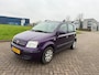 Fiat Panda 1.2 Edizione Cool