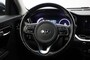 Kia Niro EV E-Niro DynamicLine 64 kWh Fase 3  - Carplay, Navi, Camera, Cruise, Stoelverw. Trekhaak
