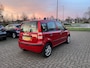 Fiat Panda 1.2 Edizione Cool Lmv Airco Nap