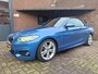 BMW 2-Serie Cabrio 220i High Executive M-Sport Apple Carplay / Harman & Kardon / Led Verlichting / Parkeer Sensoren / Stoel