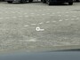 Audi Q5 Sportback 40 TFSI 204 PK S-Line Luchtvering Lederen interieur Trekhaak ACC Matrix Led Keyless Entry Head-Up Display 21 Inch LMV Sound-systeem Bang & Olufsen