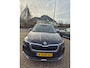 Skoda Kamiq 1.0 TSI Business Edition Carplay/Android Stoelverwarming