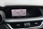 Alfa Romeo Stelvio 2.0 T AWD B-TECH met panoramadak
