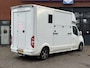Renault Master T35 2.3 dCi 170pk Roelofsen Parados Sport paardenwagen, AUT. , Horsetruck Hengstenuitvoering