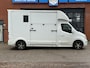 Renault Master T35 2.3 dCi 170pk Roelofsen Parados Sport paardenwagen, AUT. , Horsetruck Hengstenuitvoering