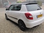 Skoda Fabia 1.2 TSI Ambition zeer mooi en sportief apk 24-01-2027