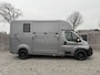 Opel Movano HORSETRUCK STX AKX 3XL GREY | 2023 | HENGST | 3-SEAT | 59.101KM | LEER | CAMERA | BELGISCH KENTEKEN