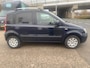 Fiat Panda 1.2 Edizione Cool