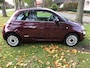 Fiat 500 1.2 Popstar Airco/ Navi / Panodak / Nwe model 2016