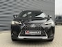 Lexus UX 250h Camera/Trekhaak/Apple