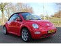 Volkswagen Beetle New Cabriolet 1.6 ORIGINEEL NL! LEUKE AUTO Cruise Controle, Spiegelverwarming