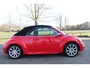Volkswagen Beetle New Cabriolet 1.6 ORIGINEEL NL! LEUKE AUTO Cruise Controle, Spiegelverwarming