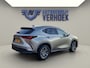 Lexus NX 450h+ AWD Launch Edition NL Auto - Schuifdak