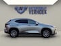 Lexus NX 450h+ AWD Launch Edition NL Auto - Schuifdak