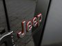 Jeep Gladiator Rubicon 3.6 V6 Automaat | LPG | 3 Persoons | Grijs kenteken | LPG |