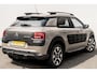 Citroën C4 Cactus 1.2 Business | 17 inch | Trekhaak | Getint Glas | Climate Control
