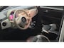 Fiat 500 0.9 TwinAir Turbo Cult Leder | Panoramadak | Climate