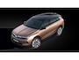 Opel Grandland 1.2 Turbo Hybrid Business Edition Direct leverbaar