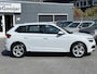 Skoda Kamiq 1.0 TSi 115 pk Business Edition | NAV. | CAMERA | FULL OPTIONS |