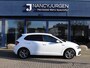 Volkswagen Polo 1.0 TSI High Line | Business | R-Line | Park Assist | Licht- en Zicht Pakket | DAB | NAVI | Mirror Link |