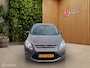 Ford C-Max 1.6 EcoBoost|Titanium|150Pk|Trekhaak|Nap|Boekjes