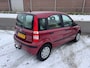 Fiat Panda 1.2 Dynamic AUTOMAAT HOGE INSTAP! NL AUTO KMST NAP! DEALER OH! Elek pakket l Centraal l Trekhaak!