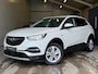 Opel Grandland X 1.2Turbo Executive/TREKH/PARKS/NAVI/APK/NAP